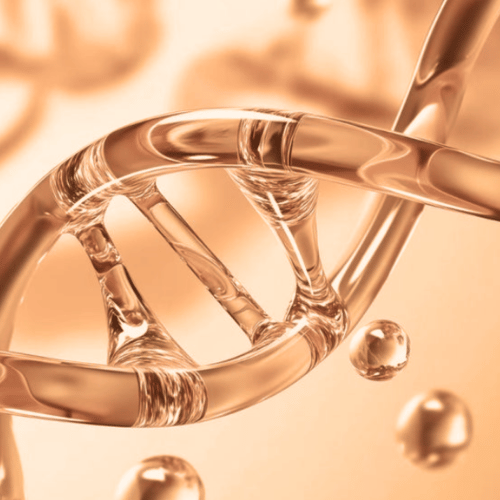 Drone Peptides (VEGF/IGF/PDRN)