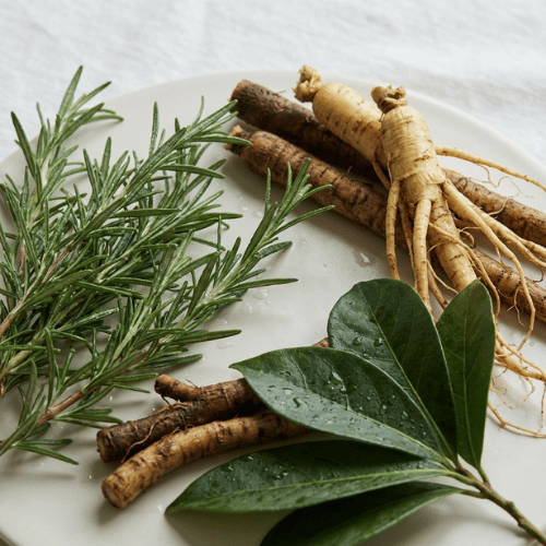 Botânicos Ativadores (Alecrim + Ginseng + Bardana + Jaborandi)